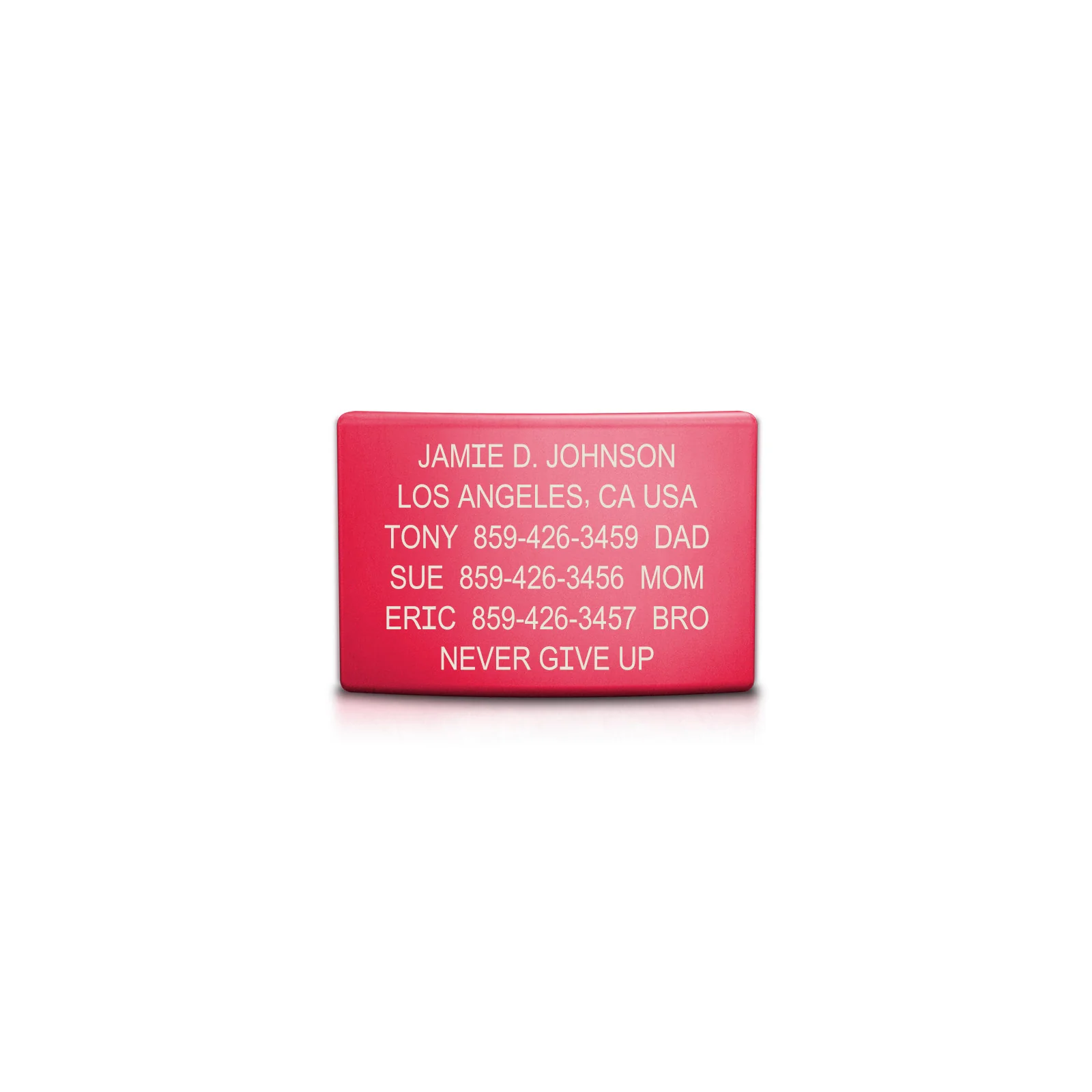 Classic ID Faceplate - Image 19