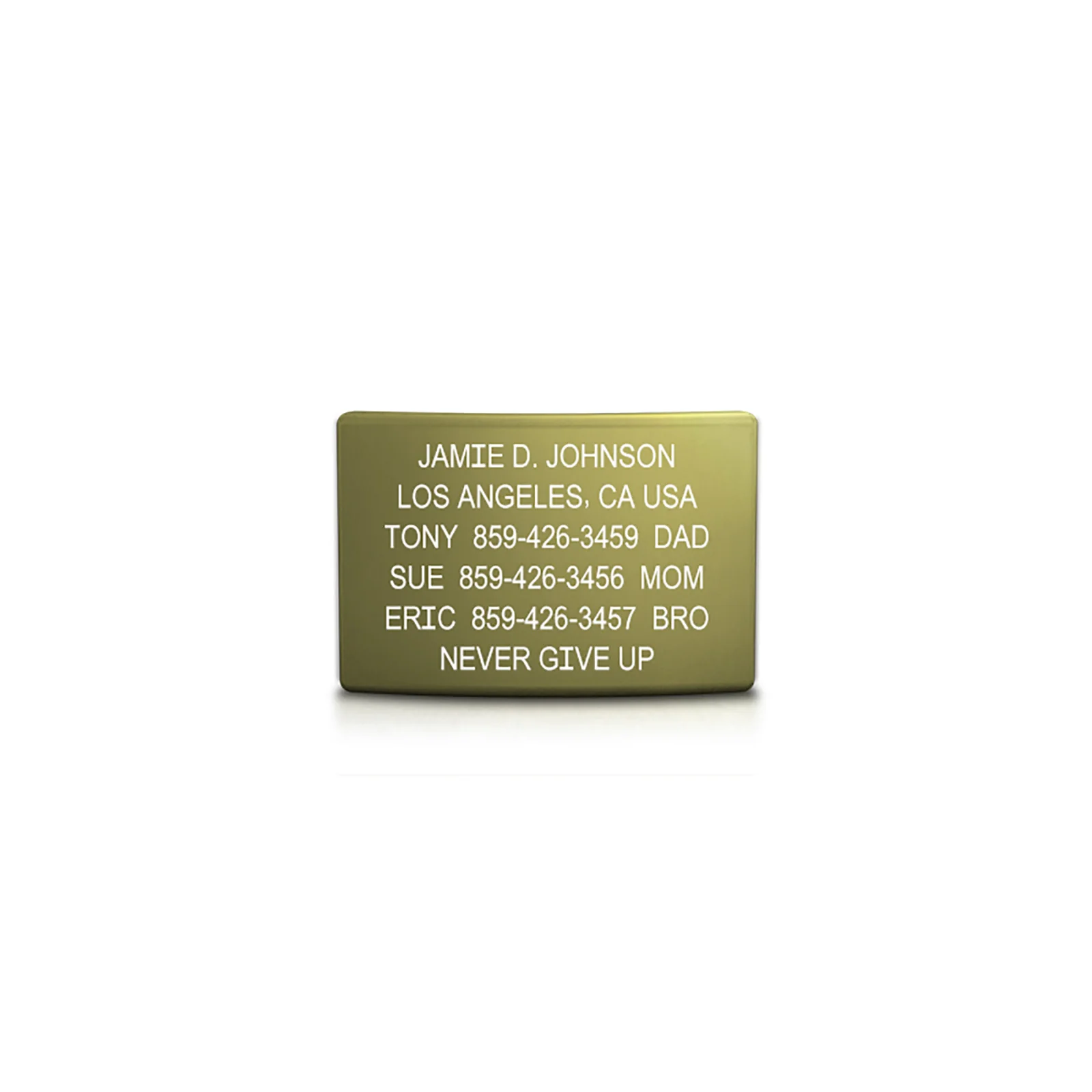 Classic ID Faceplate - Image 24